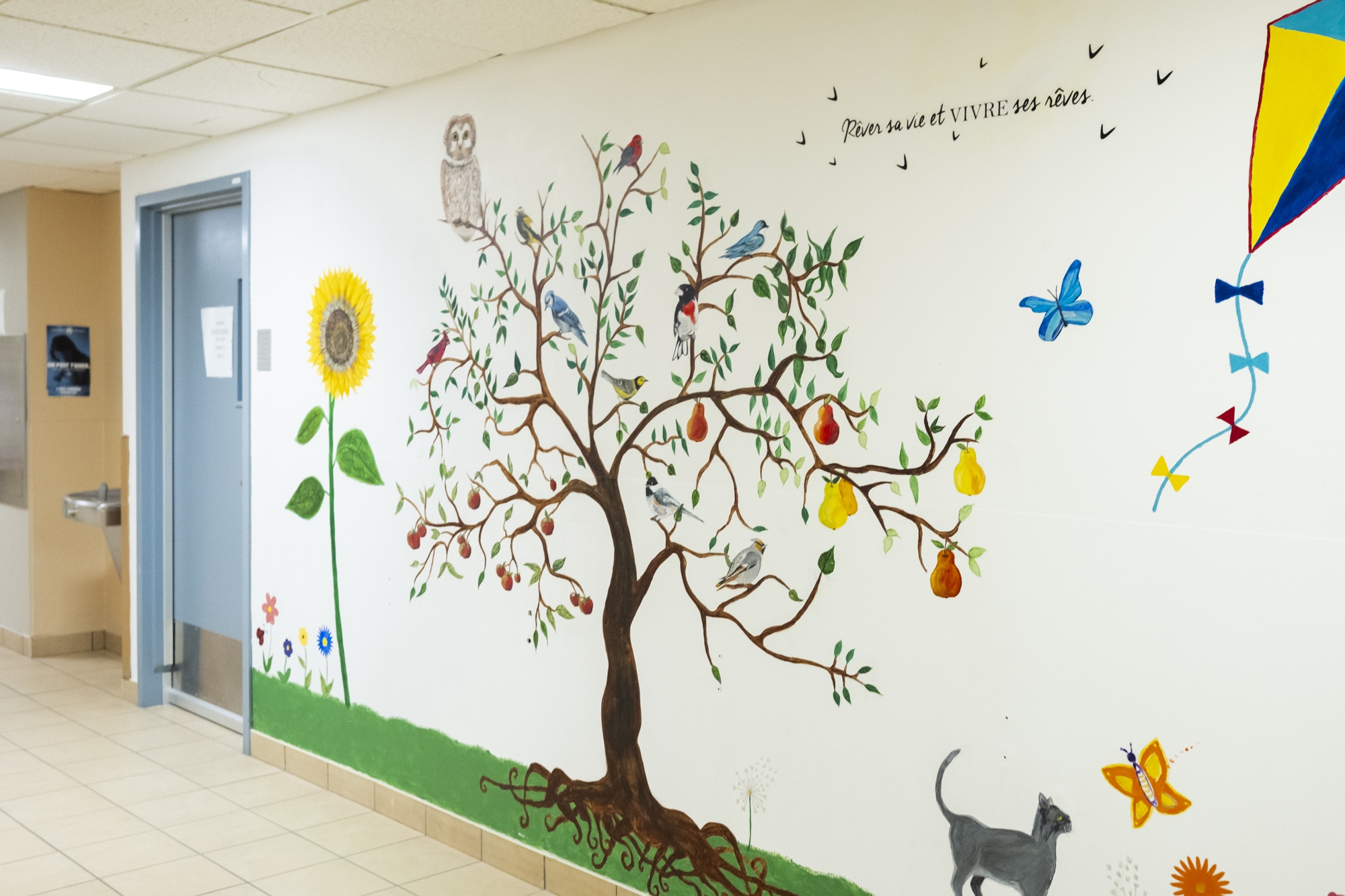 175 Fondation Aile Psy Sammy Lee Photography2023