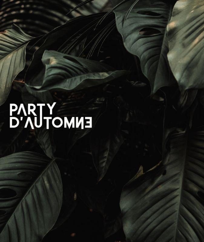 Header Site Web Party Automne Milieu