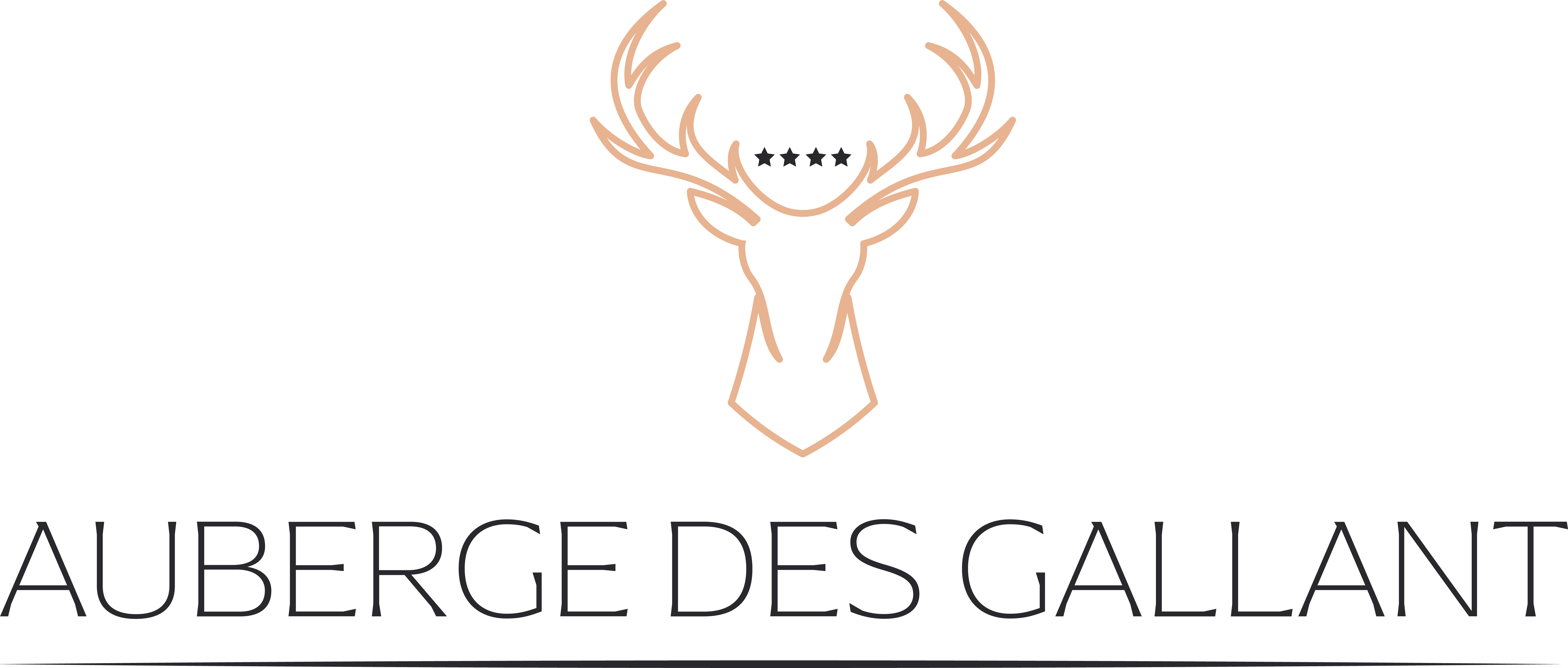 Logo Auberge Des Gallant Blanc